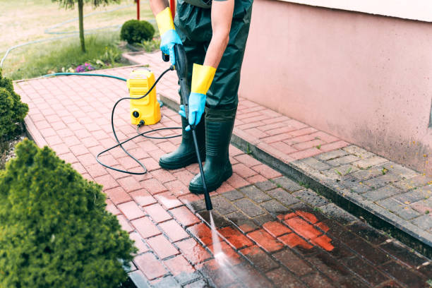 Best Animal Enclosure Cleaning  in Bowmansville, PA